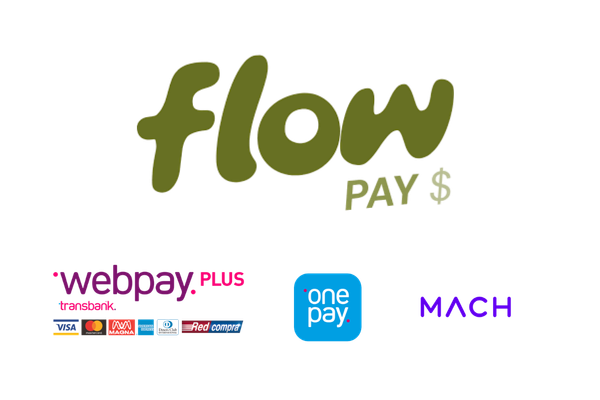 Métodos de pago: WebPay, Visa, Mastercard, OnePay y Mach